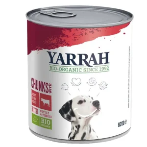 Schneller Versand YARRAH Bio-Nassfutter in Soße für ausgewachsene Hunde, Rind